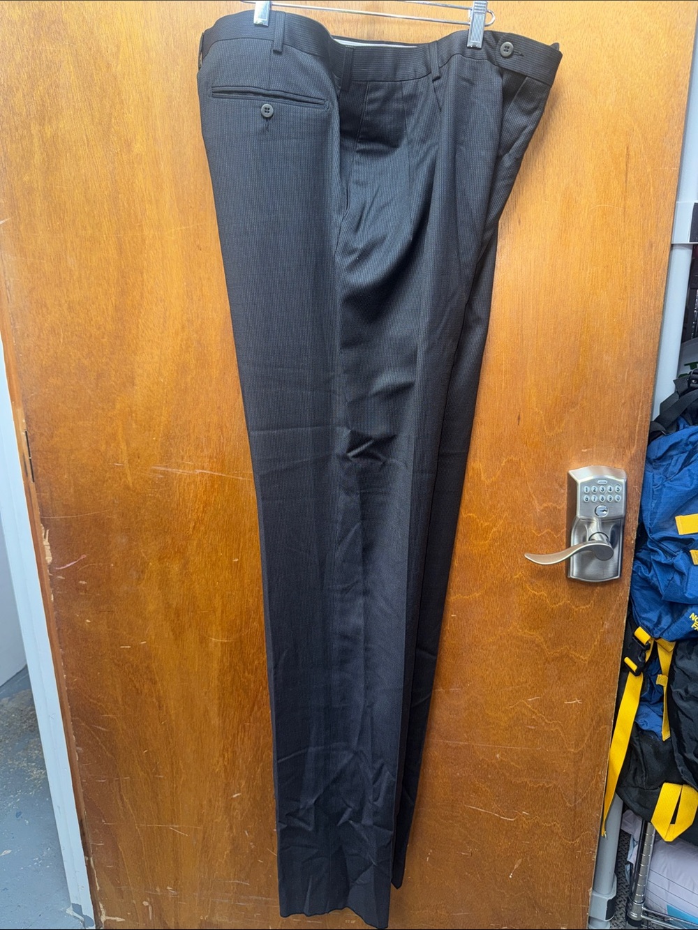 Zanella bennett pant color 305